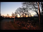 Sun 13 Dec 2009 17:58:52 D3S_0681.JPG 